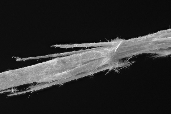 Imagem microscÃ³pica de uma fibra de amianto.