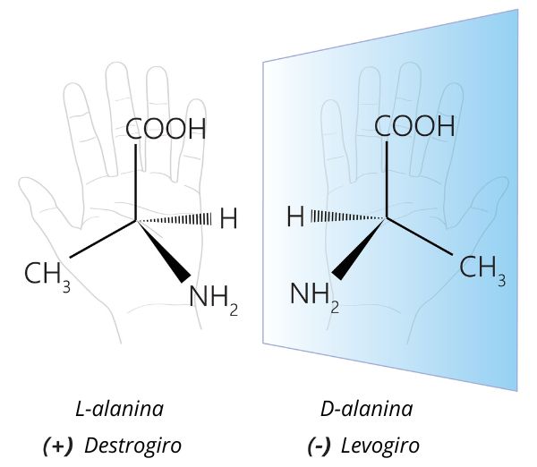  RepresentaÃ§Ã£o dos isÃ´meros Ã³pticos da molÃ©cula alanina (C3H7NO2).