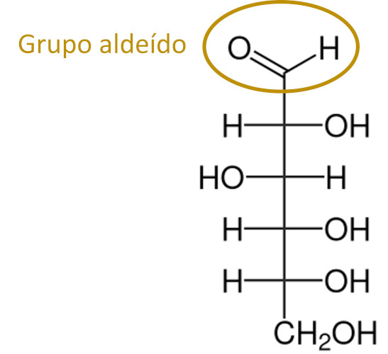 MolÃ©cula linear de glicose com destaque para o grupo funcional aldeÃ­do.