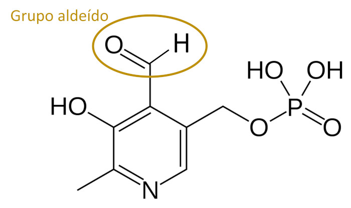 MolÃ©cula de piridoxal fosfato com destaque para o grupo funcional aldeÃ­do.