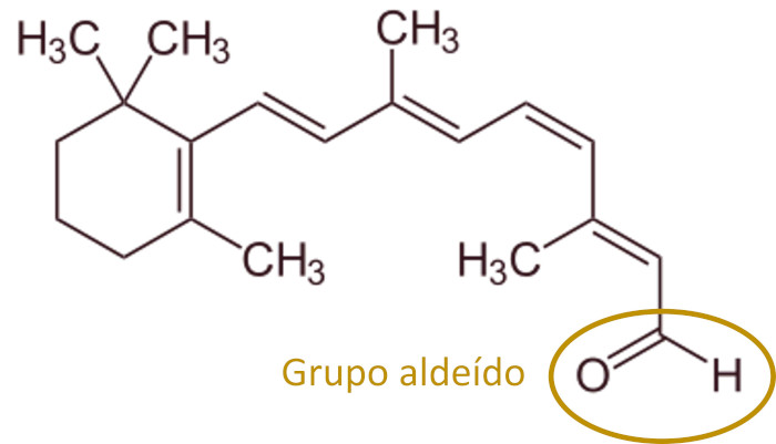 Molécula de retinal aldeído com destaque para o grupo funcional aldeído.