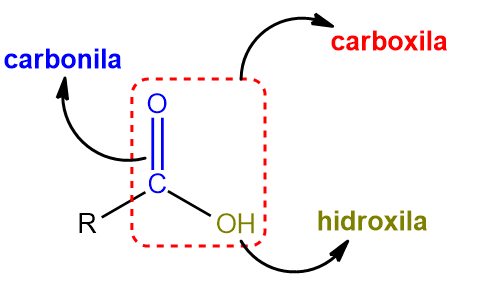IlustraÃ§Ã£o de uma carbonila, de uma carboxila e de uma hidroxila.