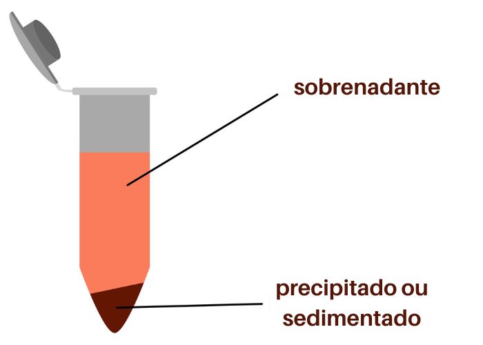 Tubo de teste ao final da centrifugaÃ§Ã£o, mostrando a separaÃ§Ã£o da mistura em sobrenadante e sedimentado.