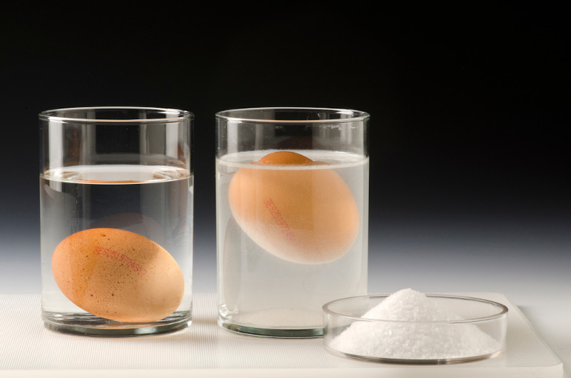 Experimento de densidade envolvendo ovo, Ã¡gua e sal.