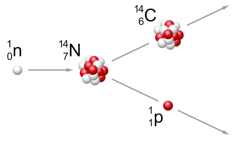 Átomo sendo gerado quando um nêutron no núcleo do carbono-14, um dos isótopos do carbono, se transforma em um próton.