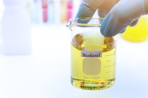 Pessoa segurando uma vidraria de laboratório com biodiesel, produzido a partir da química verde.