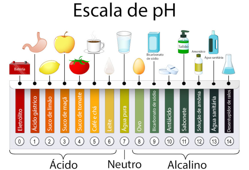 Algumas substâncias ácidas e básicas presente no cotidiano de acordo com a escala de pH.