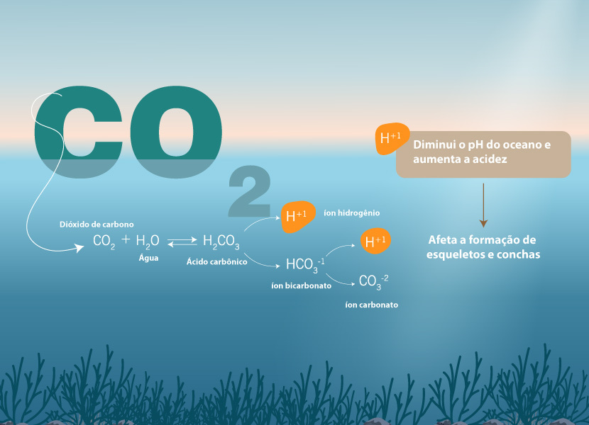 Ilustração mostrando como o dióxido de carbono afeta o pH do ambiente marinho.