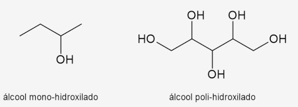 Estruturas de álcool mono-hidroxilado com uma hidroxila e álcool poli-hidroxilado
