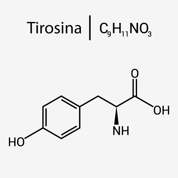Estrutura química da tirosina.