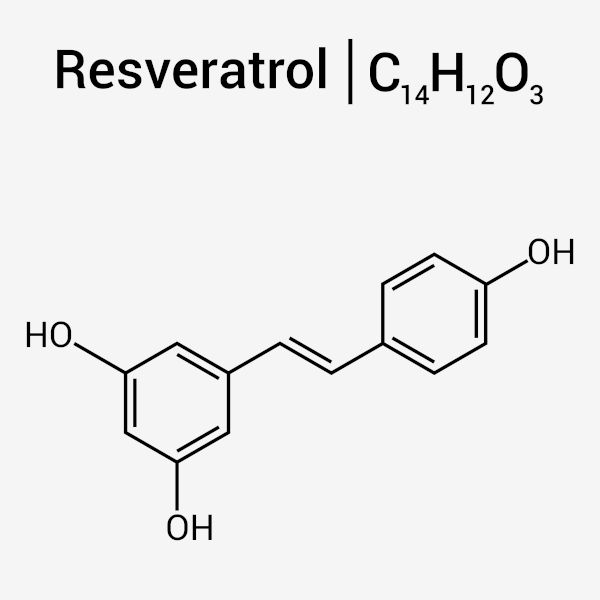 Estrutura química do resveratrol.