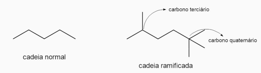 Cadeia carb&ocirc;nica normal e ramificada em texto sobre Qu&iacute;mica Org&acirc;nica.