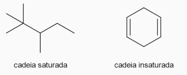 Cadeia carb&ocirc;nica saturada e insaturada em texto sobre Qu&iacute;mica Org&acirc;nica.