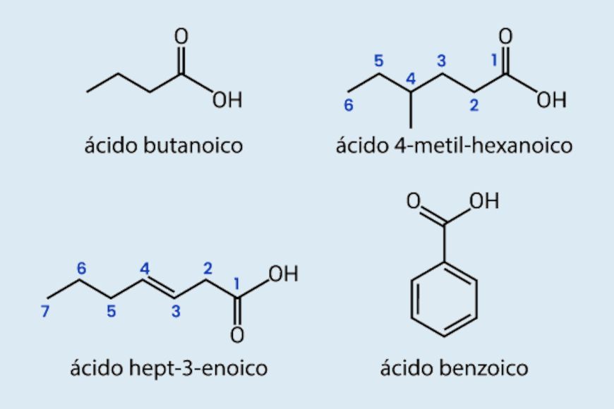Exemplos das estruturas químicas dos ácidos carboxílicos.