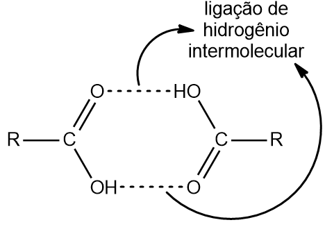 Representação de ligações de hidrogênio intermoleculares entre moléculas de ácidos carboxílicos formando dímero molecular.
