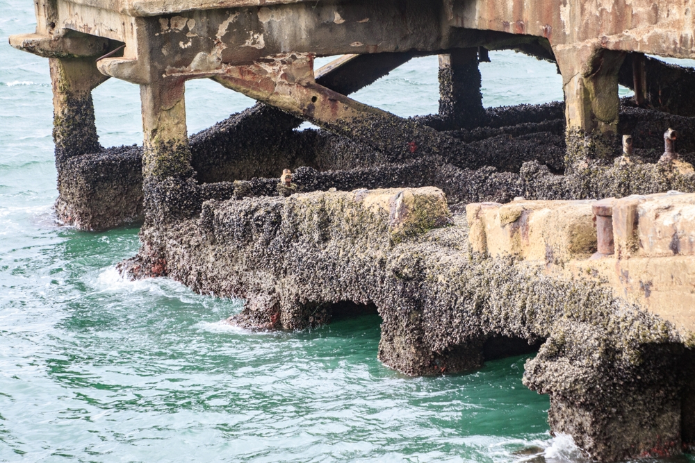 Estrutura met&aacute;lica corro&iacute;da por a&ccedil;&atilde;o da &aacute;gua do mar.