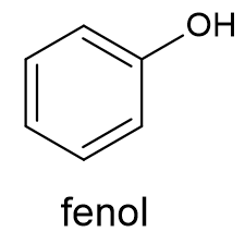 Fórmula estrutural e nomenclatura do fenol, uma função orgânica.