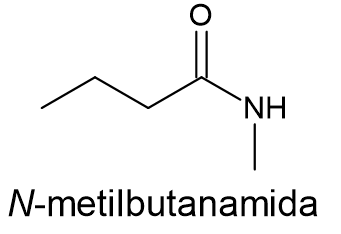 Fórmula estrutural do N-metilbutanamida, composto da função orgânica amida.